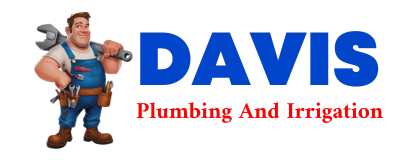 Trusted plumber in CODEN